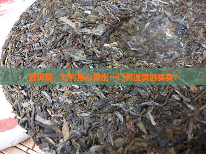 普洱茶怎么做生意好