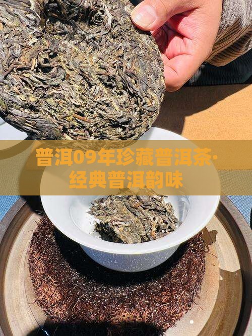雅普普洱茶09年
