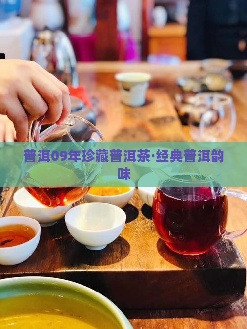 雅普普洱茶09年