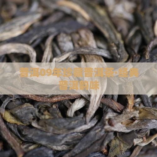 雅普普洱茶09年