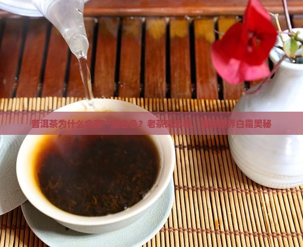 普洱茶为什么会有一层白色