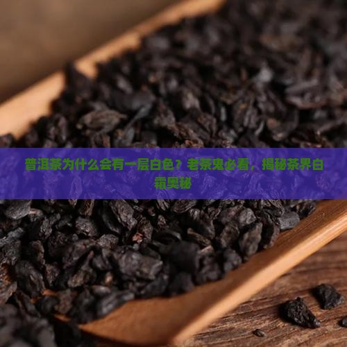 普洱茶为什么会有一层白色