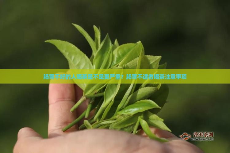 肠胃不好的人喝茶是不是更严重