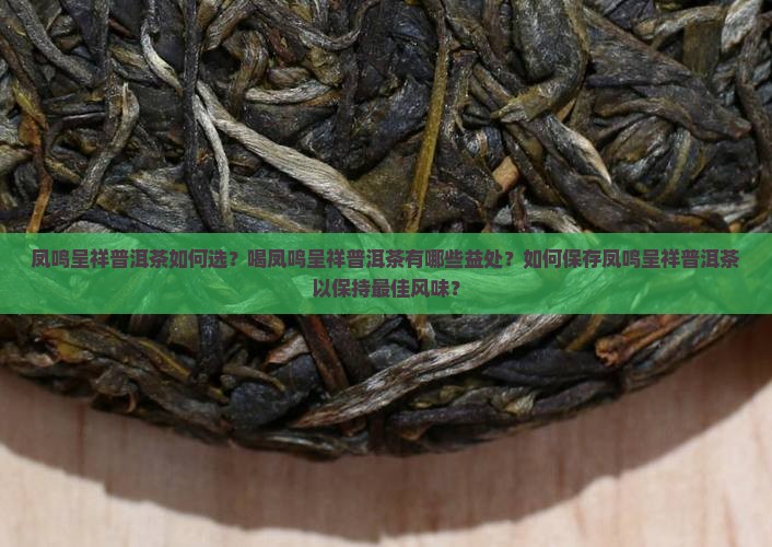 凤鸣呈祥普洱茶