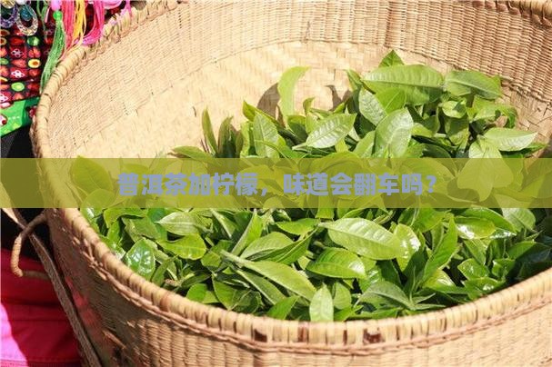 普洱茶放柠檬能喝吗