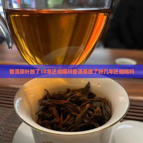 普洱茶叶放了10年还能喝吗
