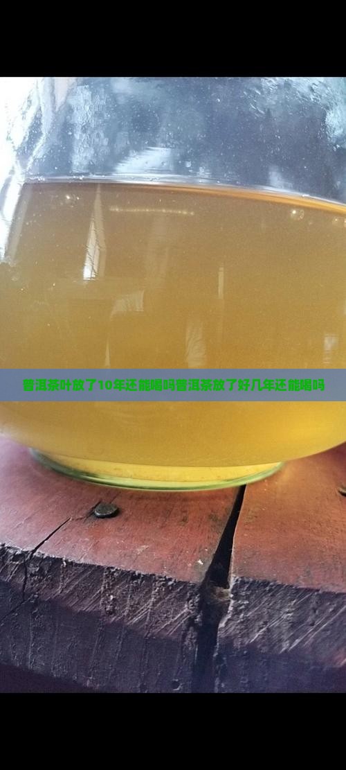 普洱茶叶放了10年还能喝吗