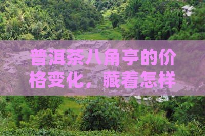 普洱茶八角亭价格记录表