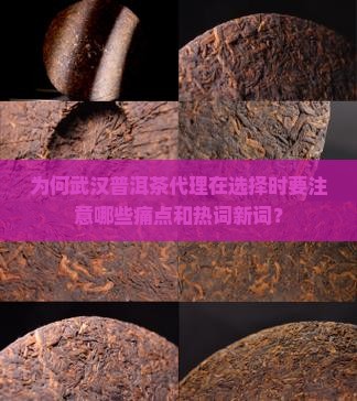 武汉普洱茶代理