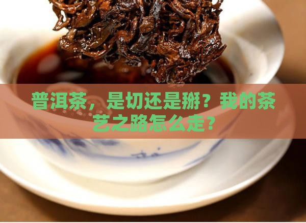 普洱茶切还是掰