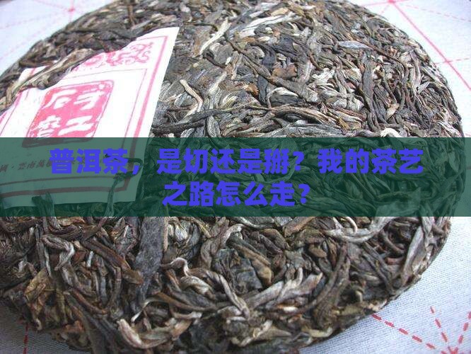 普洱茶切还是掰