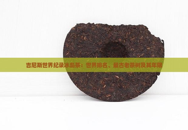 吉尼斯世界纪录冰岛茶