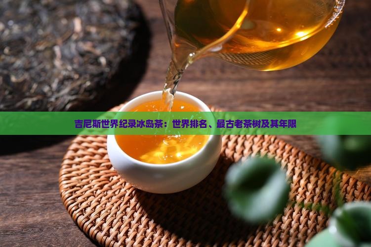 吉尼斯世界纪录冰岛茶