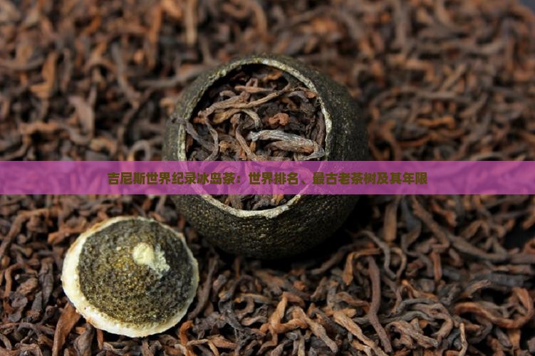 吉尼斯世界纪录冰岛茶