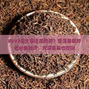 8592是生茶还是熟茶