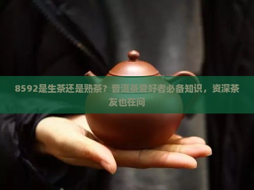 8592是生茶还是熟茶