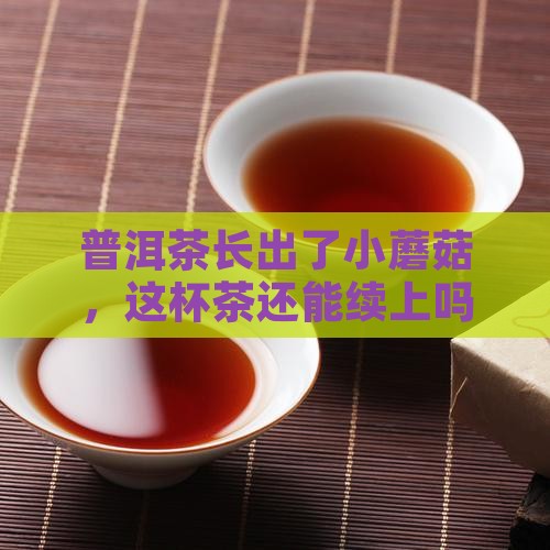 普洱茶发霉味还能喝吗