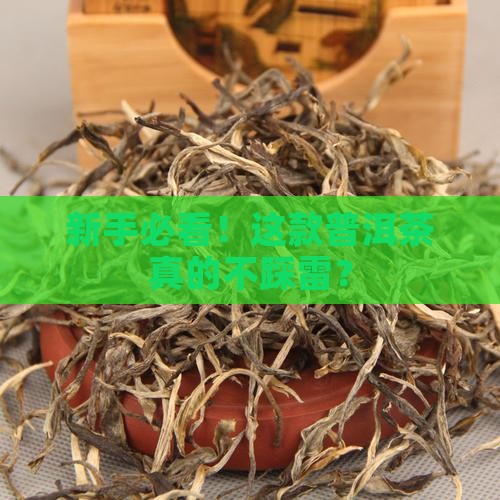 最适合新手喝的普洱茶