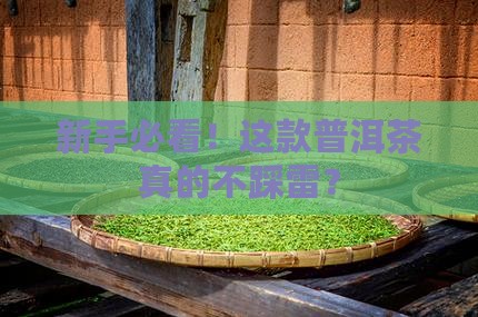 最适合新手喝的普洱茶