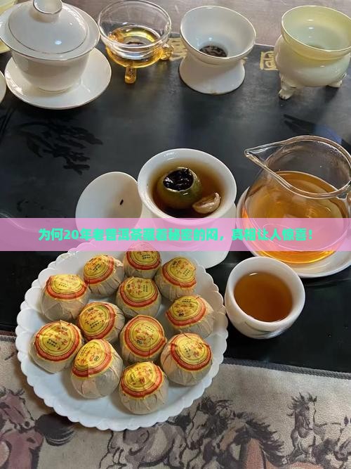 普洱茶20年为什么会闷 普洱茶20年为什么会闷
