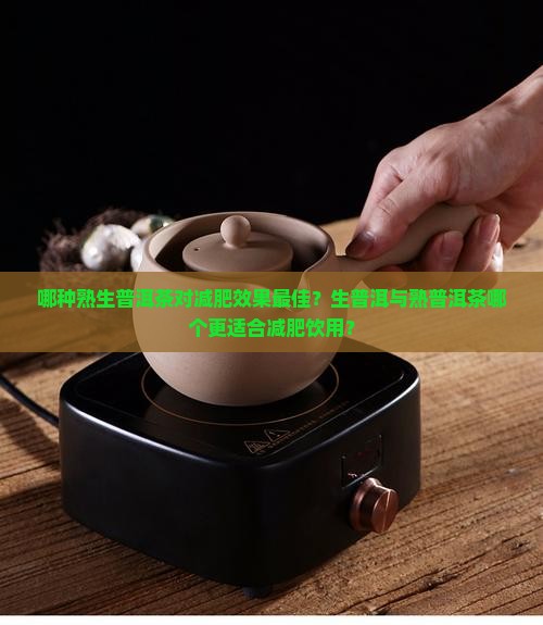 熟生普洱茶哪个减肥效果好