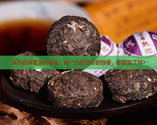 普洱茶勐海之味