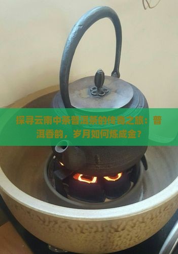 云南中茶普洱茶发展史