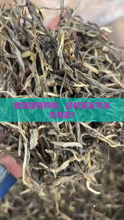 柠檬可以和普洱茶一起喝么