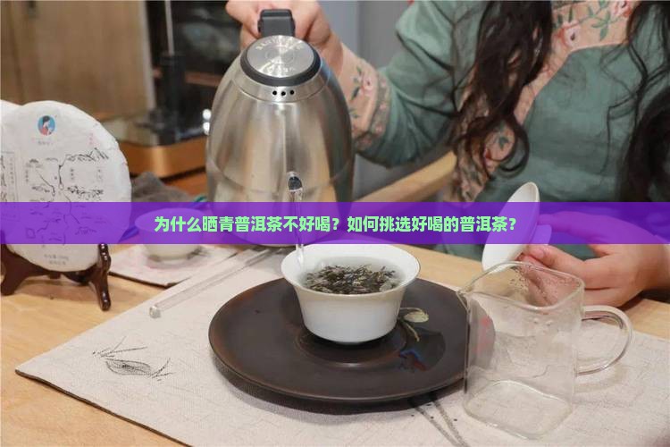 晒青普洱茶不好喝