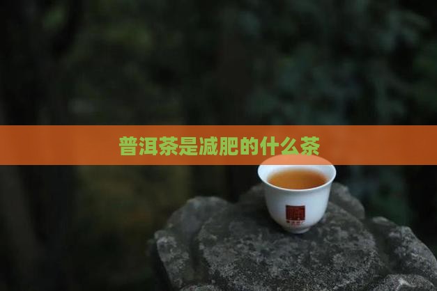 普洱茶是绿茶减肥茶吗