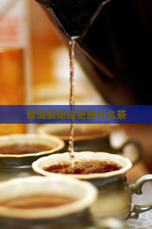 普洱茶是绿茶减肥茶吗