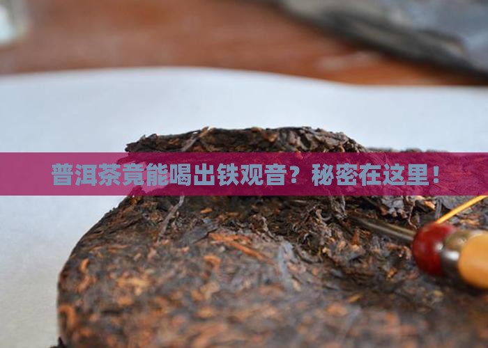 普洱茶怎么喝出铁观音味道