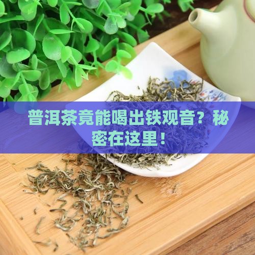 普洱茶怎么喝出铁观音味道