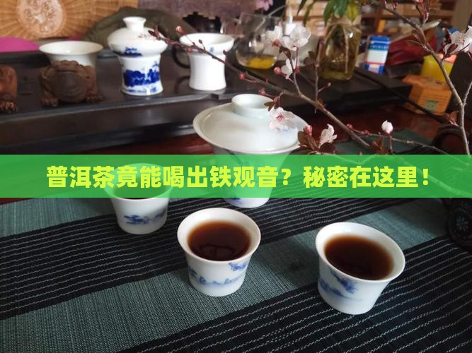 普洱茶怎么喝出铁观音味道