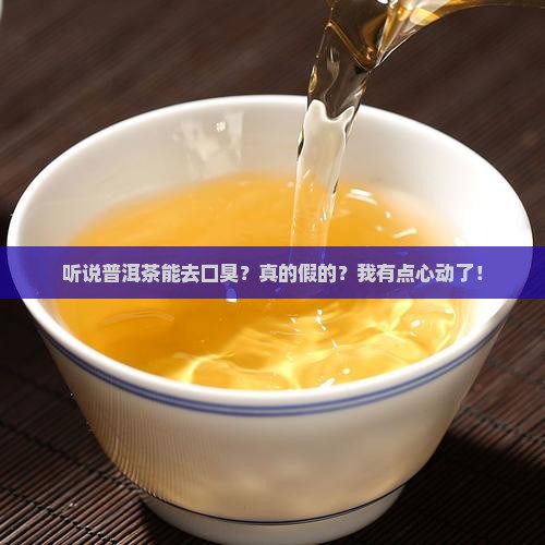 普洱茶可以去口臭吗