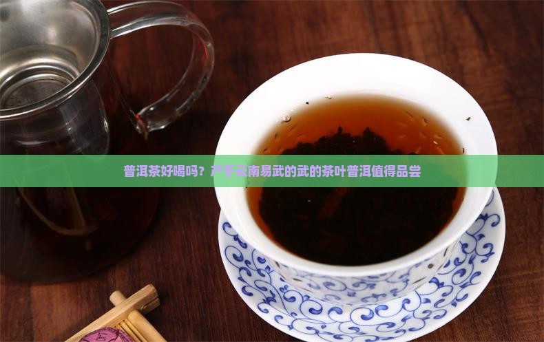 易武茶普洱茶好喝吗