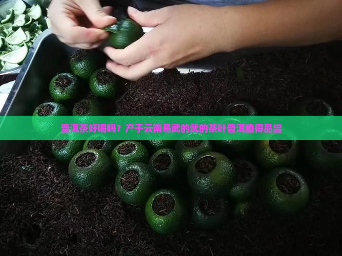 易武茶普洱茶好喝吗
