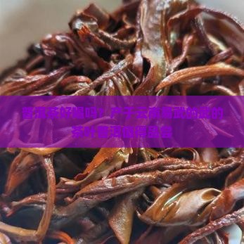 易武茶普洱茶好喝吗