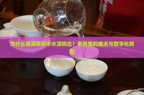 普洱茶茶水水浸物出