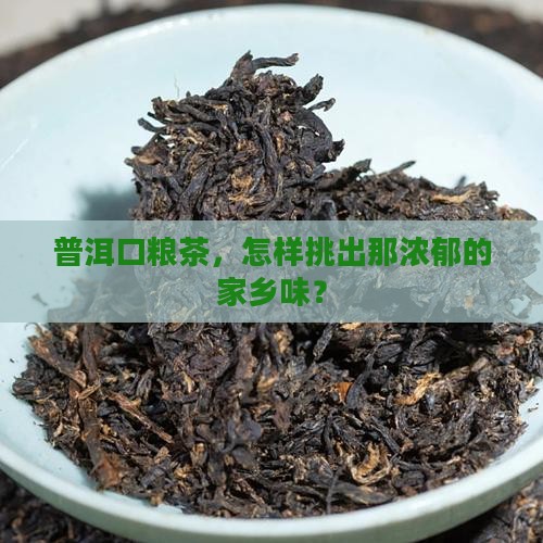 怎么选普洱茶口粮香浓厚