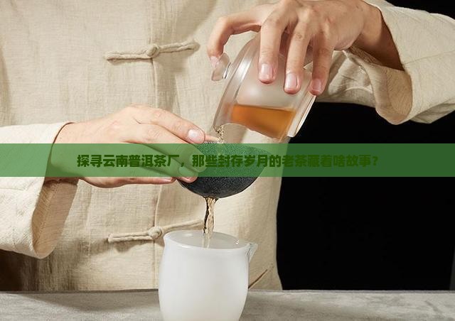 云南普洱茶厂的老茶是什么茶