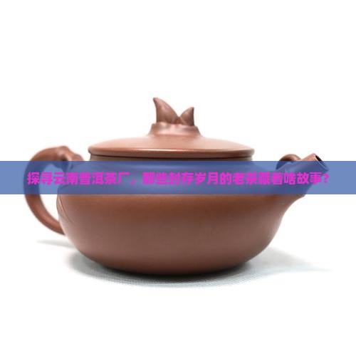 云南普洱茶厂的老茶是什么茶