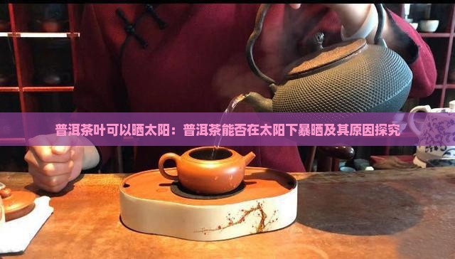 普洱茶叶可以晒太阳