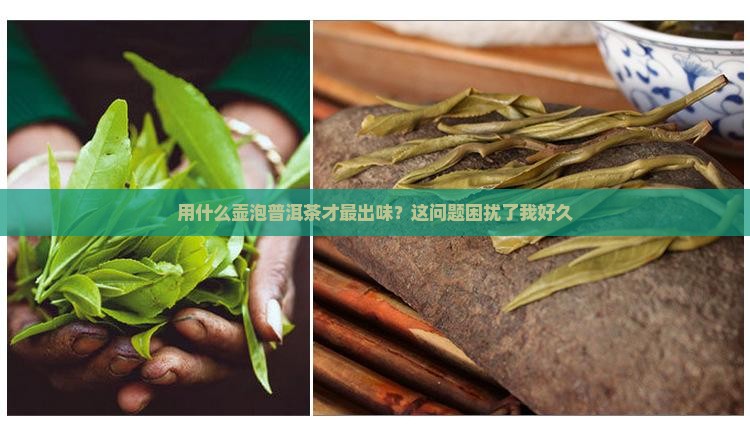 普洱茶用什么壶最合适