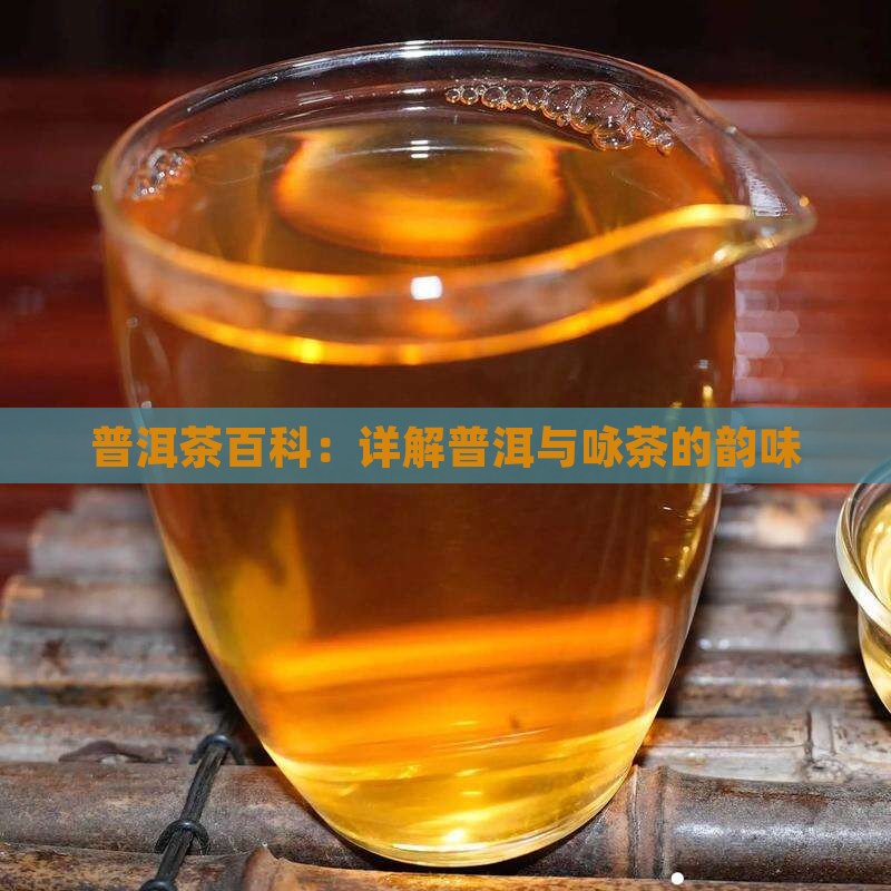 咏茶是普洱茶吗