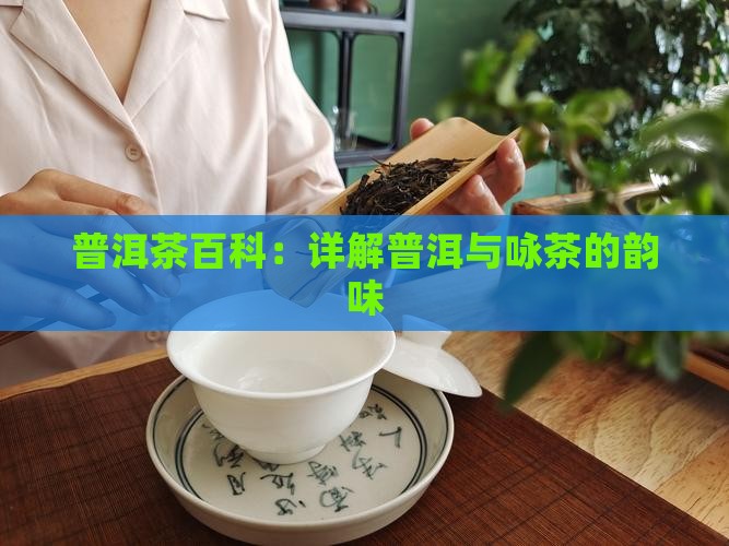 咏茶是普洱茶吗