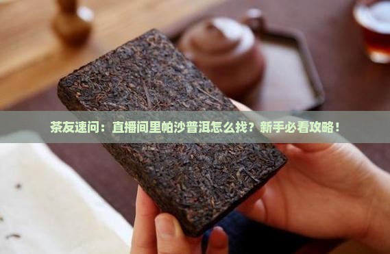 帕沙普洱茶直播间在哪