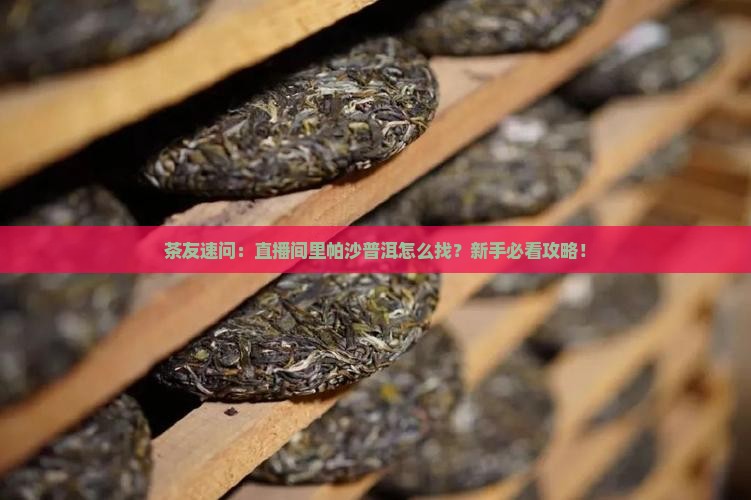 帕沙普洱茶直播间在哪