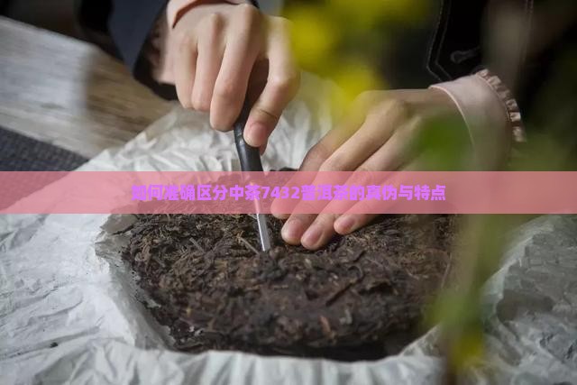 中茶7432怎么区分