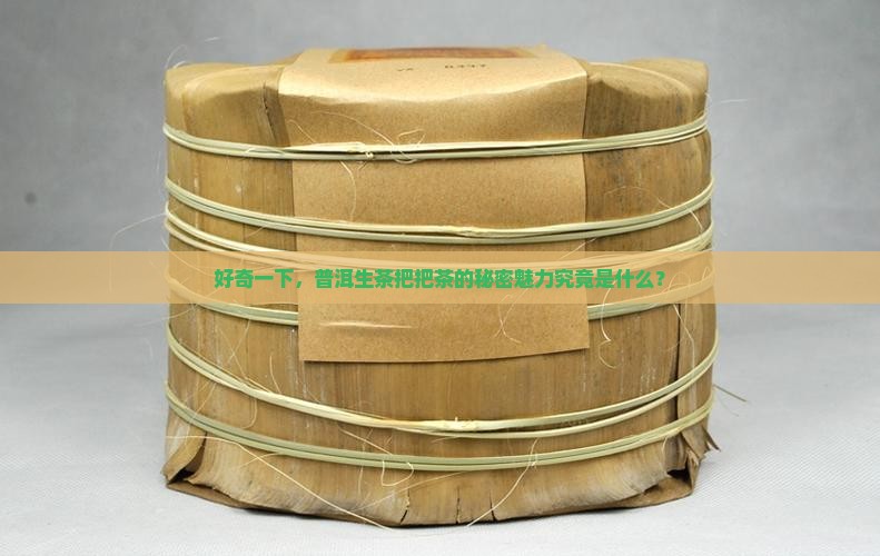 普洱生茶把把茶